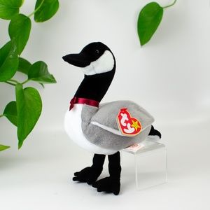 Ty Beanie Baby Loosy The Goose !